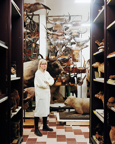 http://arnopaul.net/files/gimgs/8_arnopaul-aureliebraxenthaler.jpg